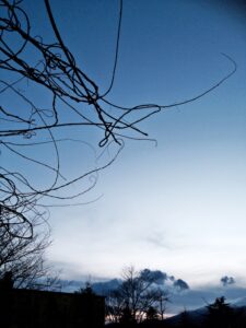 投稿についてもっと詳しく 夕方の空.　#sky #photo #japan