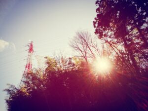 投稿についてもっと詳しく あけましておめでとうございます New year. #2015