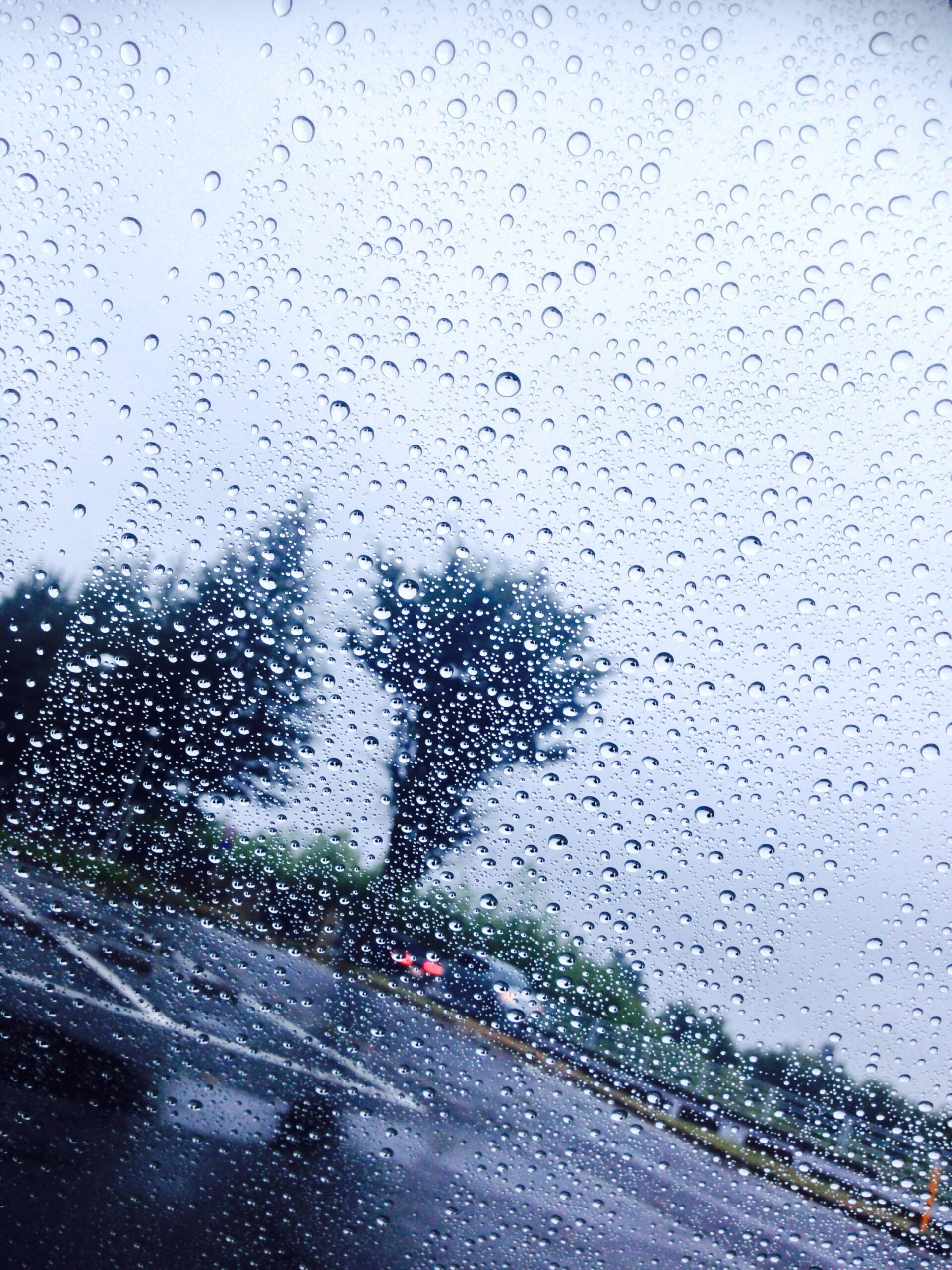 投稿についてもっと詳しく 現在の天候は雨.weather is rain.