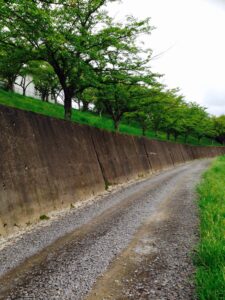 投稿についてもっと詳しく 散歩道.Picture of my walk.#japan