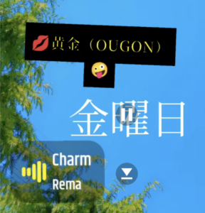 投稿についてもっと詳しく (●´ϖ`●)　今日のオープニング。