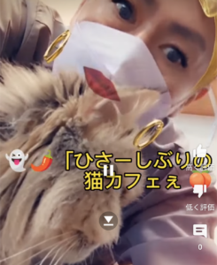 投稿についてもっと詳しく (●´ϖ`●)　猫カフェへいってきました