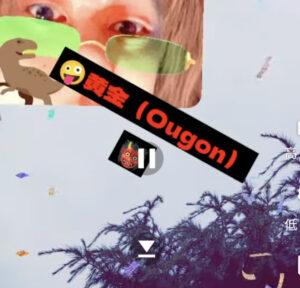 投稿についてもっと詳しく (●´ϖ`●)　今日のオープニング。