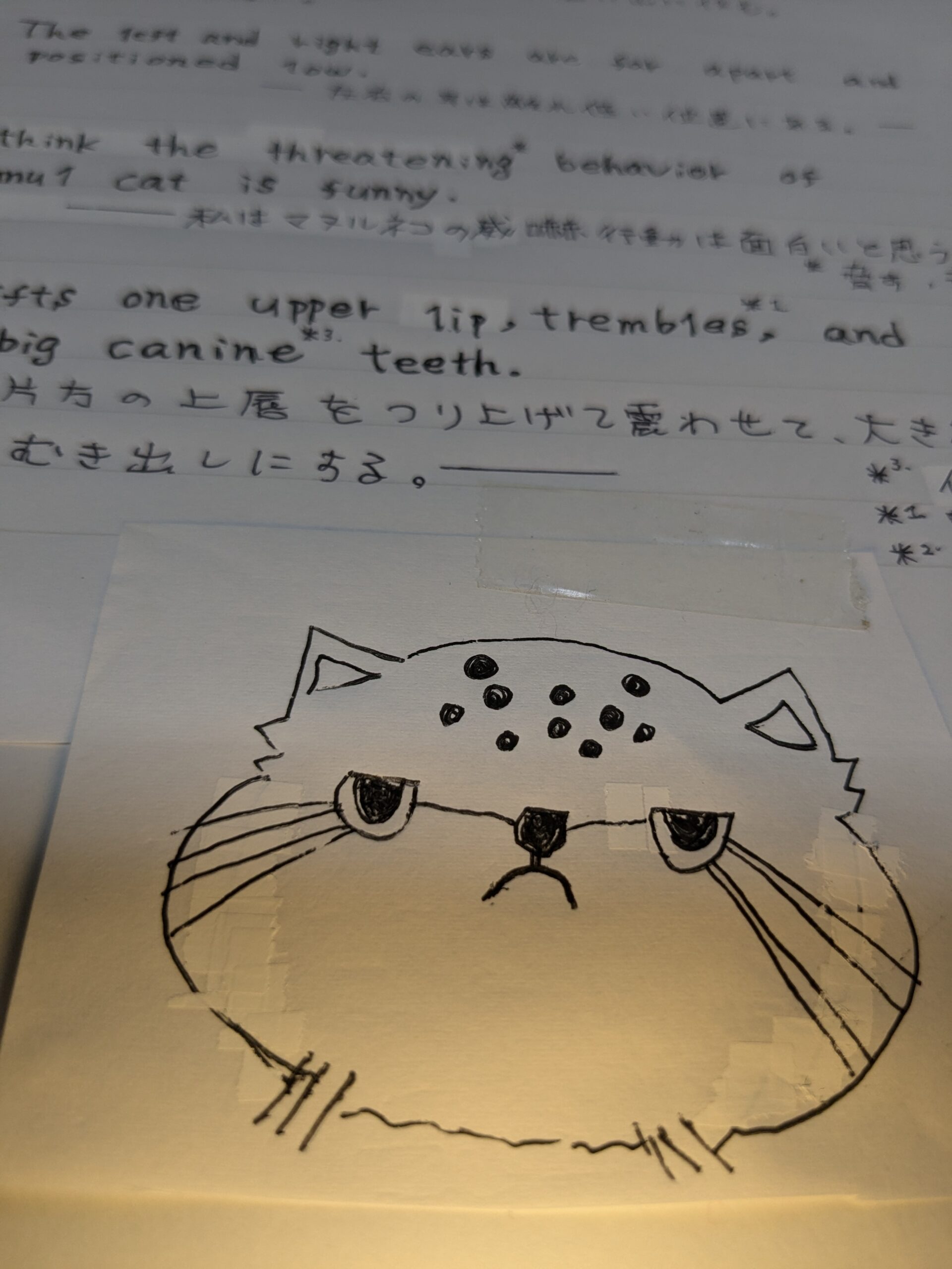 投稿についてもっと詳しく 英語の会に参加しました　(●´ϖ`●)